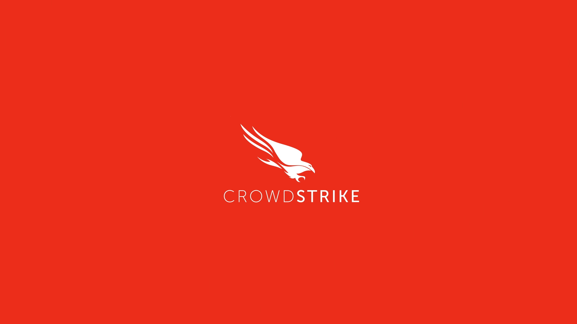 Crowdstrike.00_29_25_09.Still005